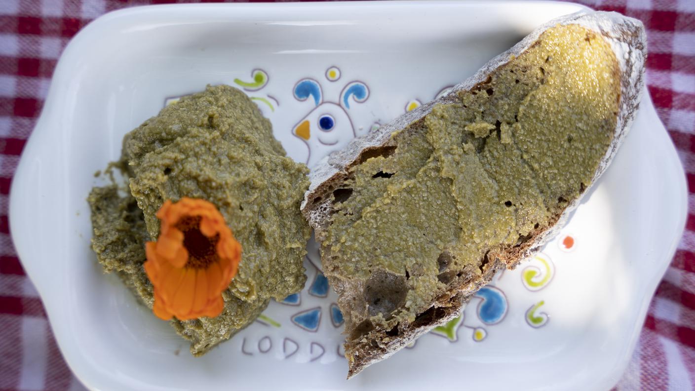 Crema spalmabile cavolo rapa.jpg
