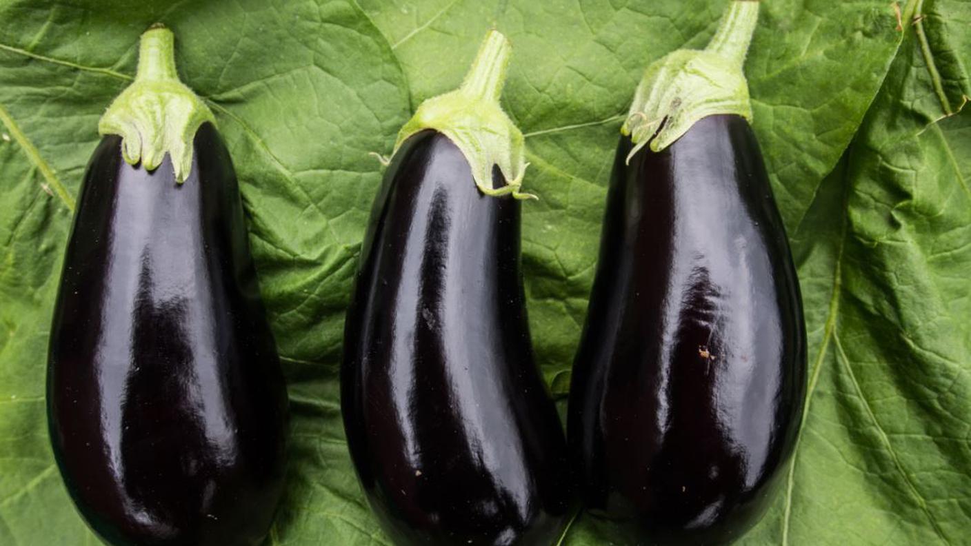 Melanzane 
