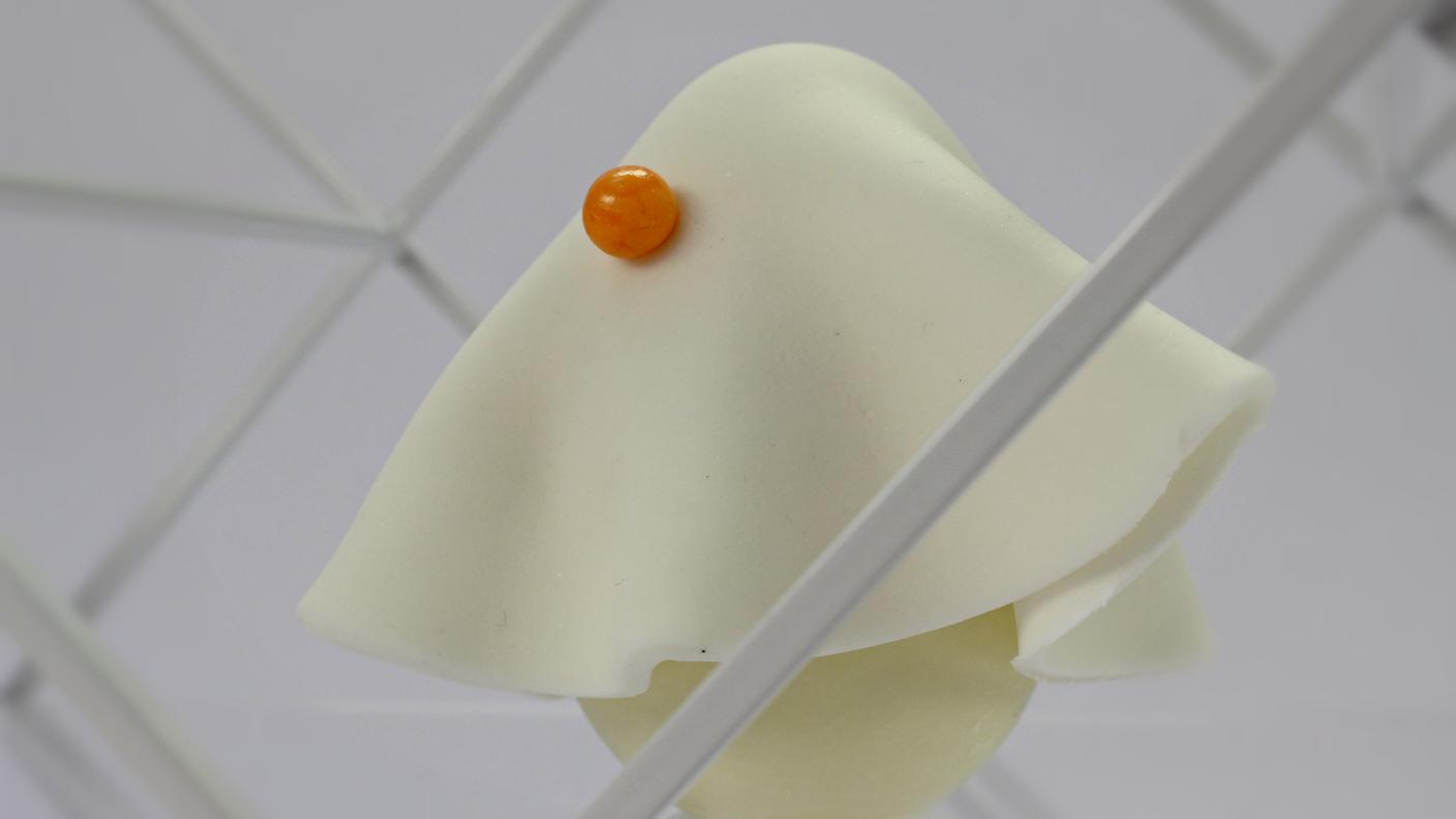 fantasmini tutta zucca