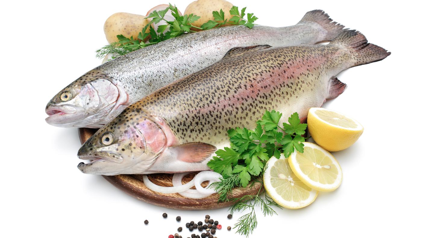 iStock-Trota salmonata