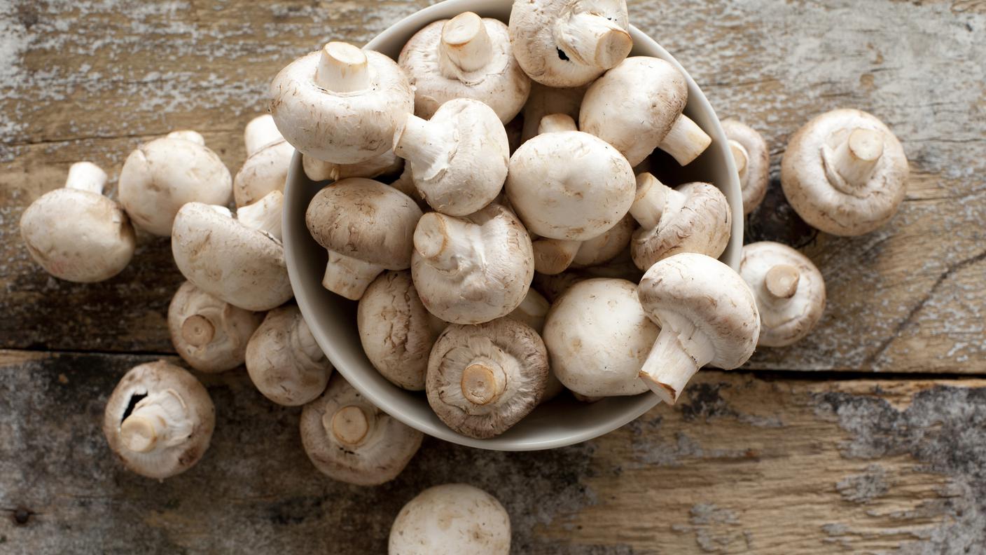 iStock-funghi 