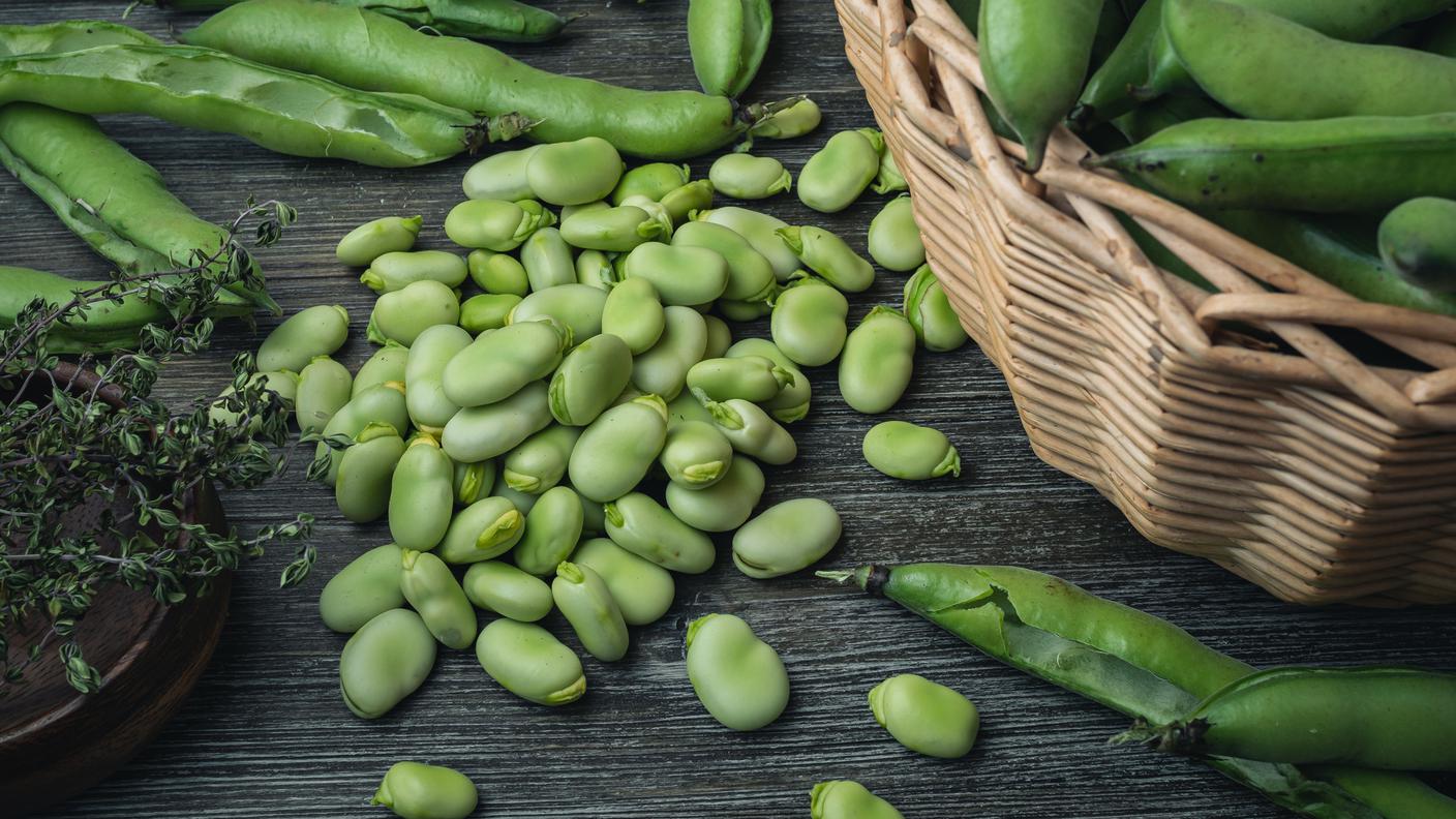 iStock-favette