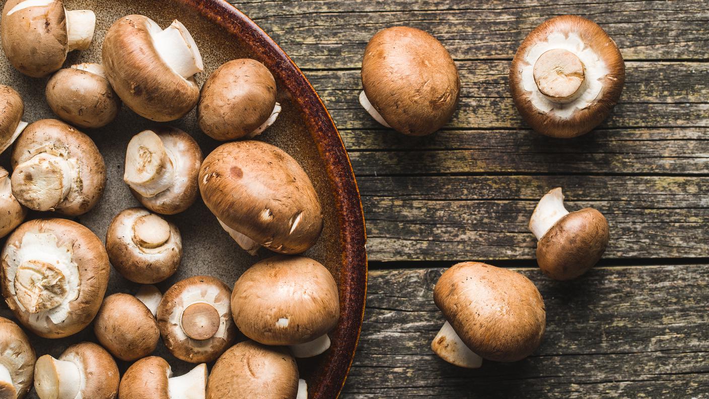 iStock-funghi champignon