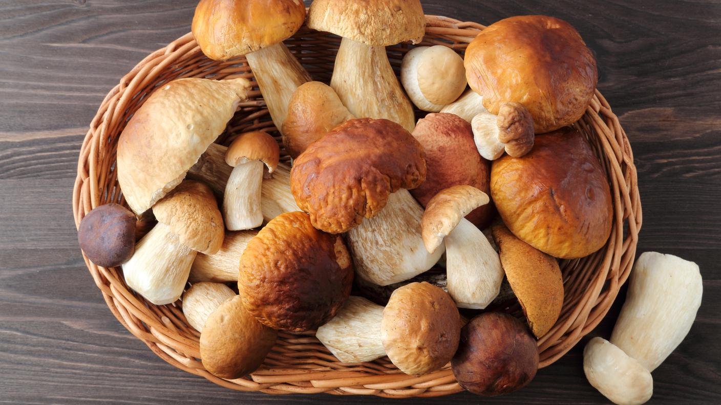 iStock-porcini