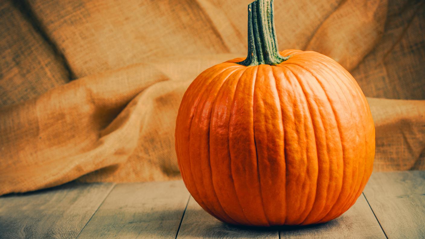 iStock-zucca