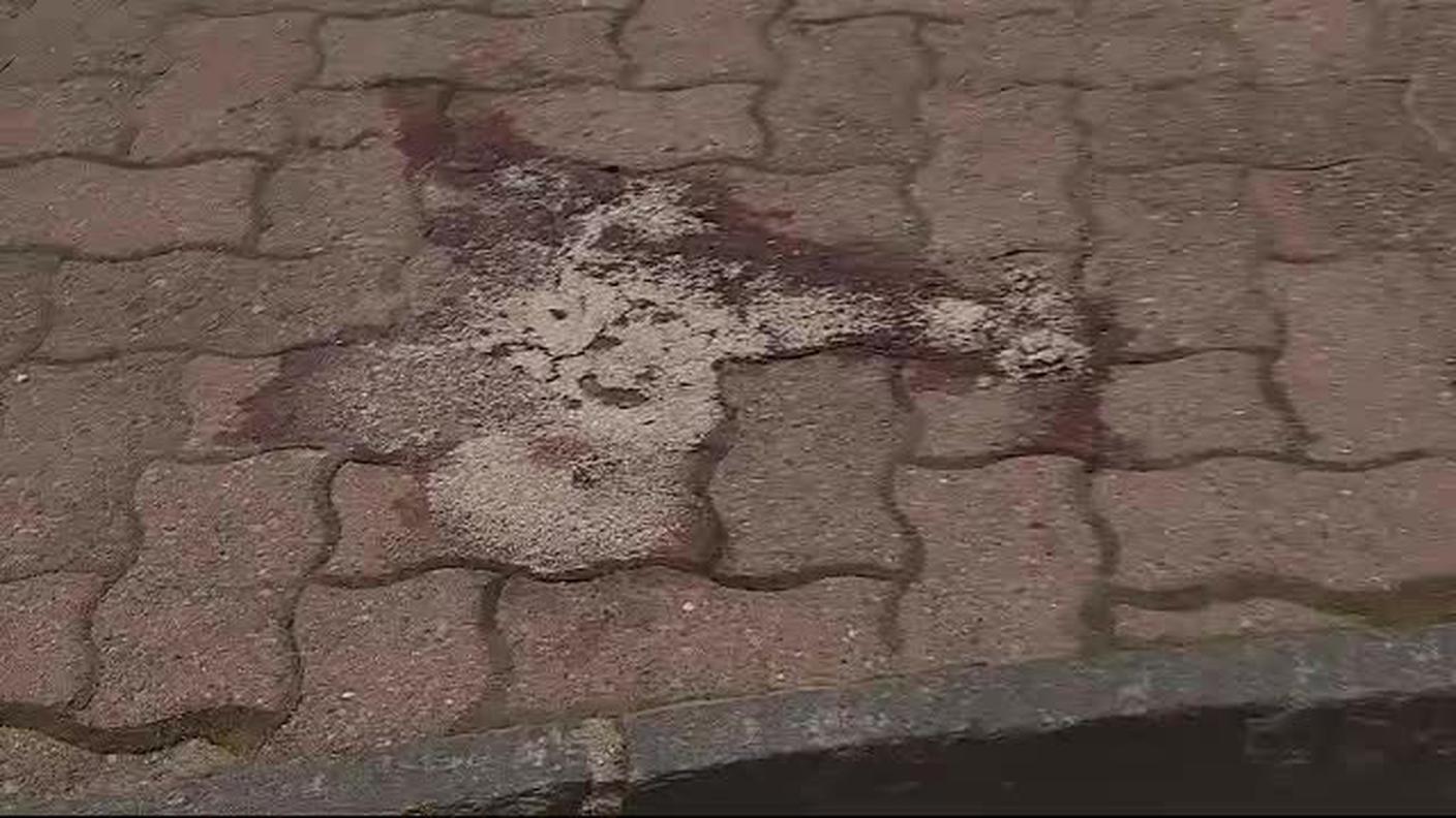 05.12.2017: Condannato a 15 mesi sospesi