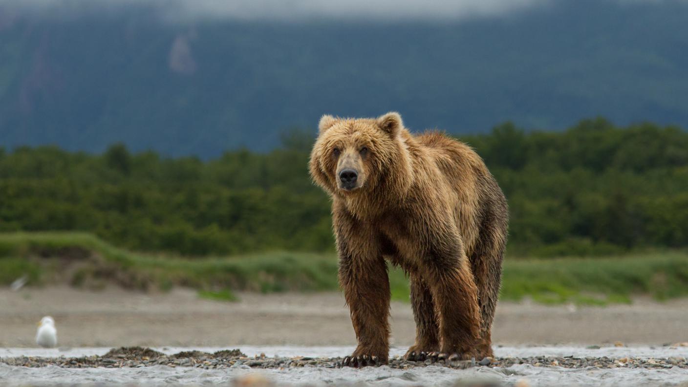 Le nuove misure riguardano l'Alaska