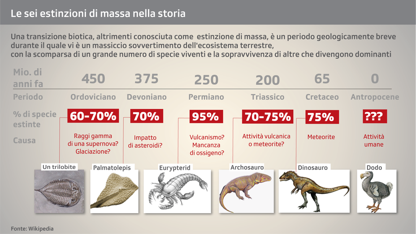 Le sei estinzioni di massa