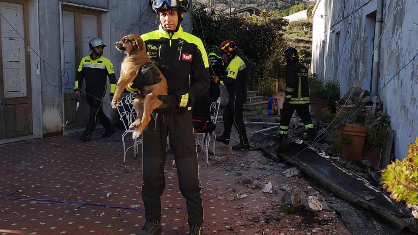 Vigili del fuoco salvano tre cuccioli cane dalle macerie a Zafferana Etnea (Catania)