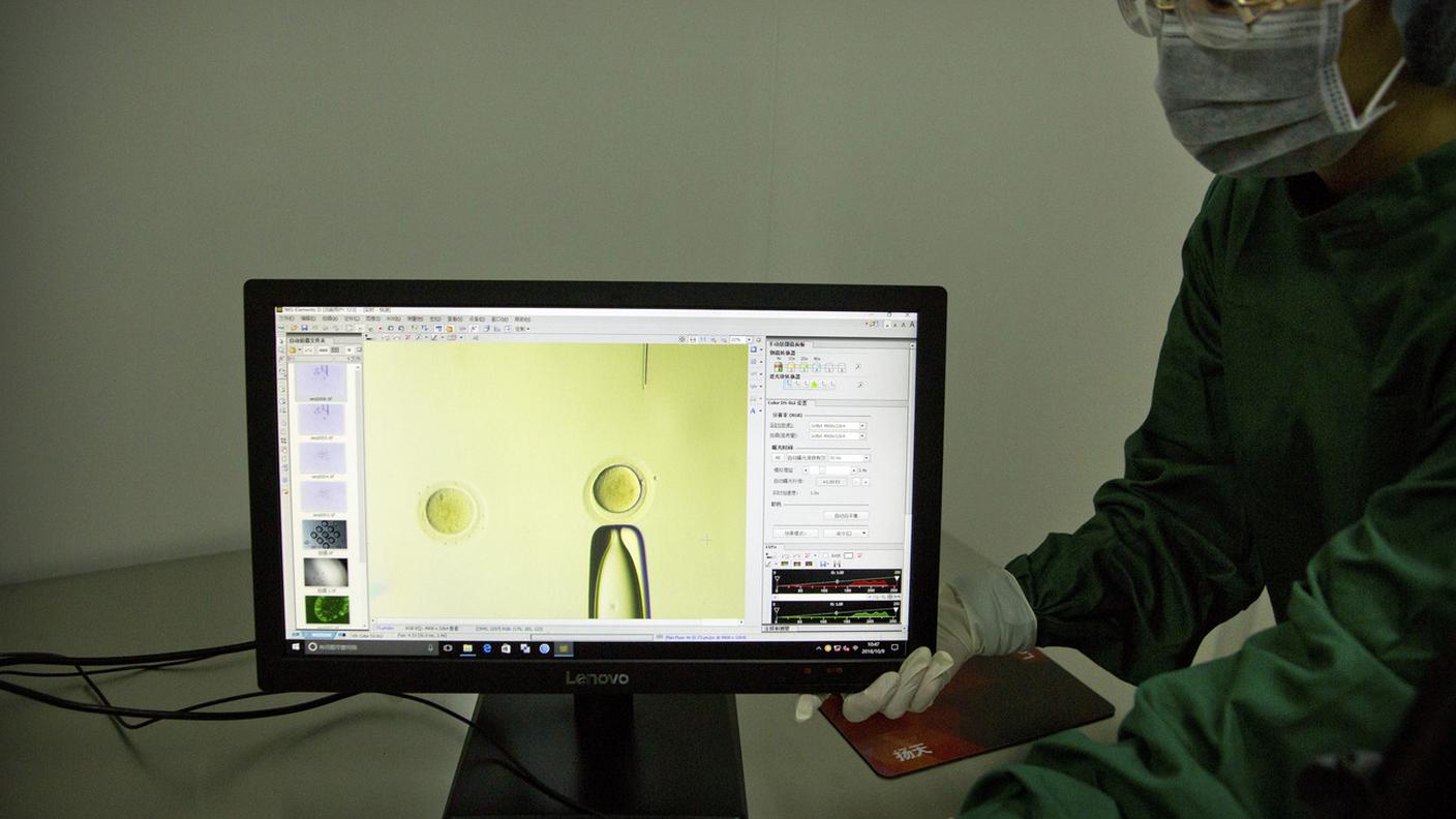 Genetisti cinesi in un laboratorio a Shenzhen