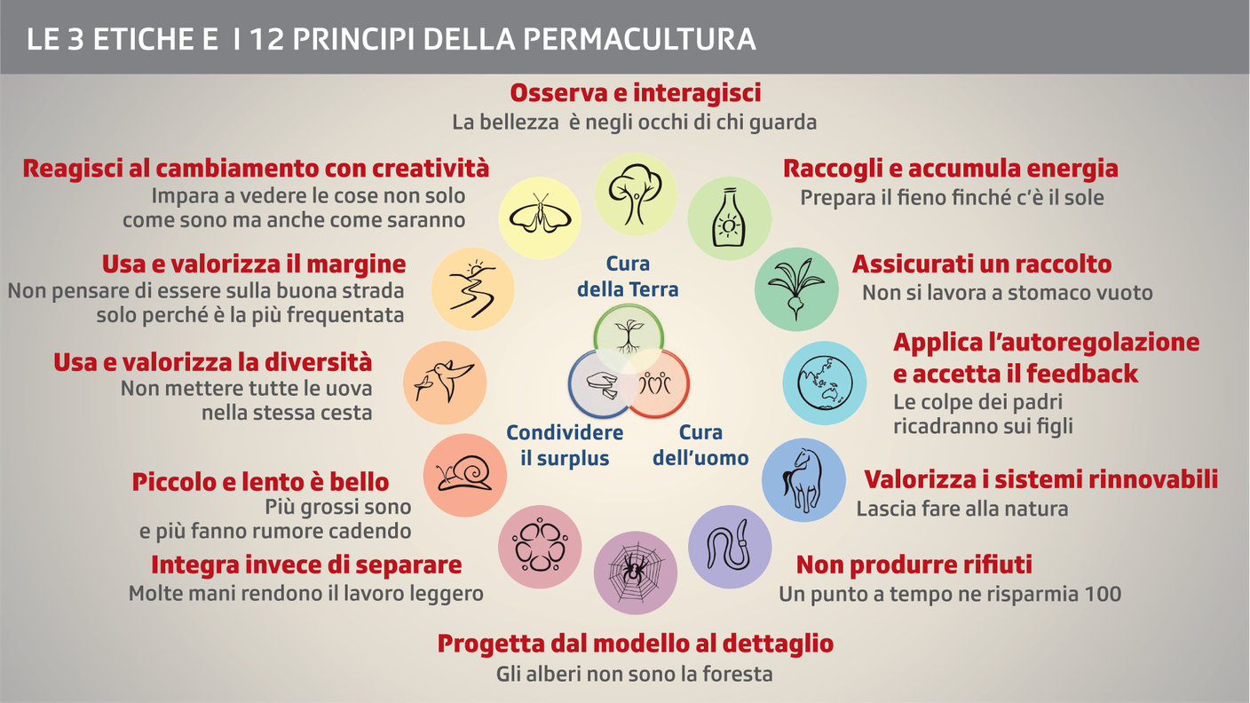 Le 3 etiche e i 12 principi della permacultura