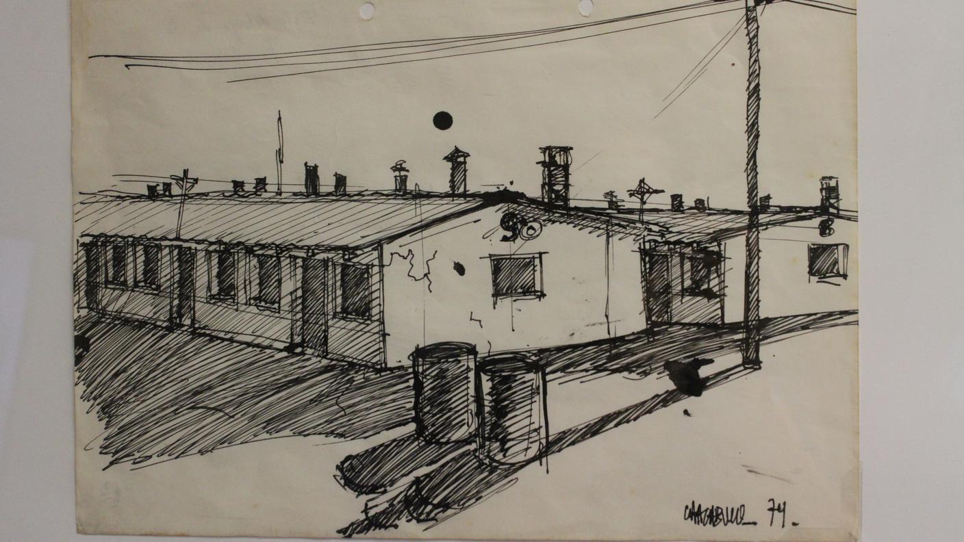 Il campo -Disegno di Enrique Olivares Aguirre