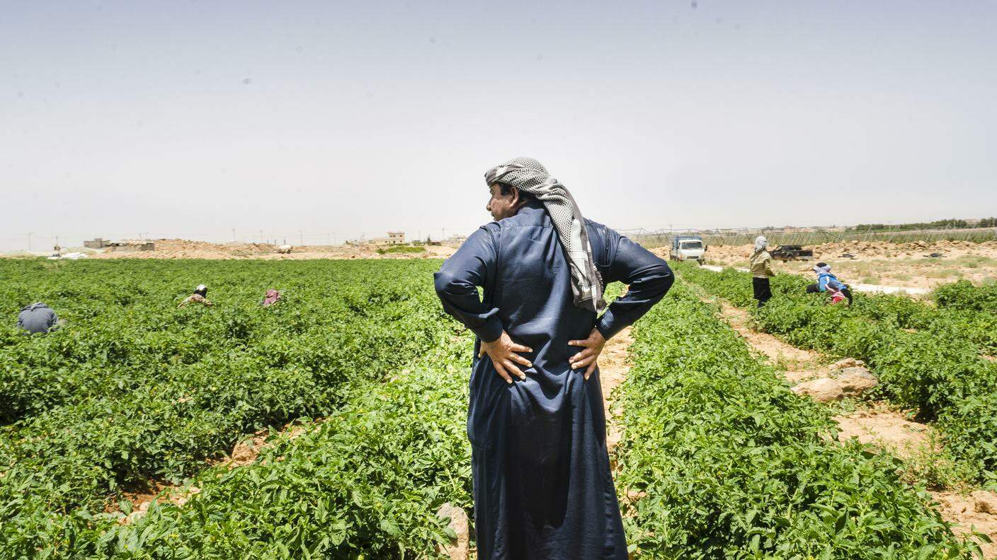 L'agricoltura tradizionale in Giordania ha i giorni contati