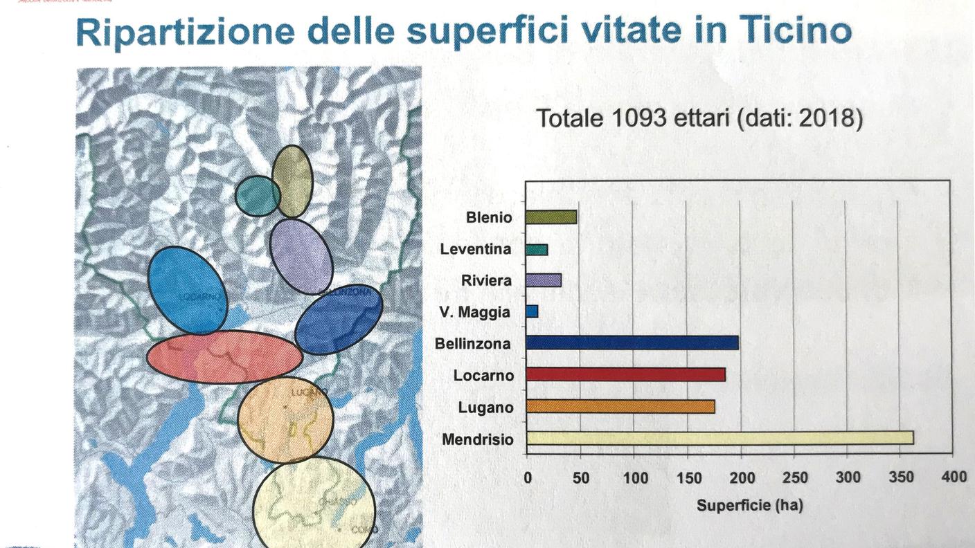 Ripartizione delle superfici vitate in Ticino