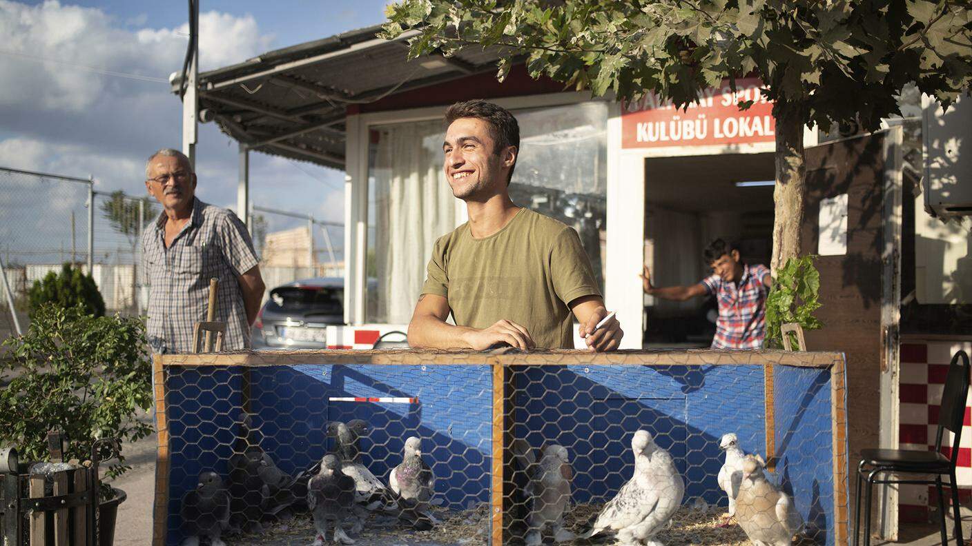 Ömer ha ereditato il mestiere da suo padre ed è diventato un allevatore e commerciante di piccioni nel mercato di Istanbul