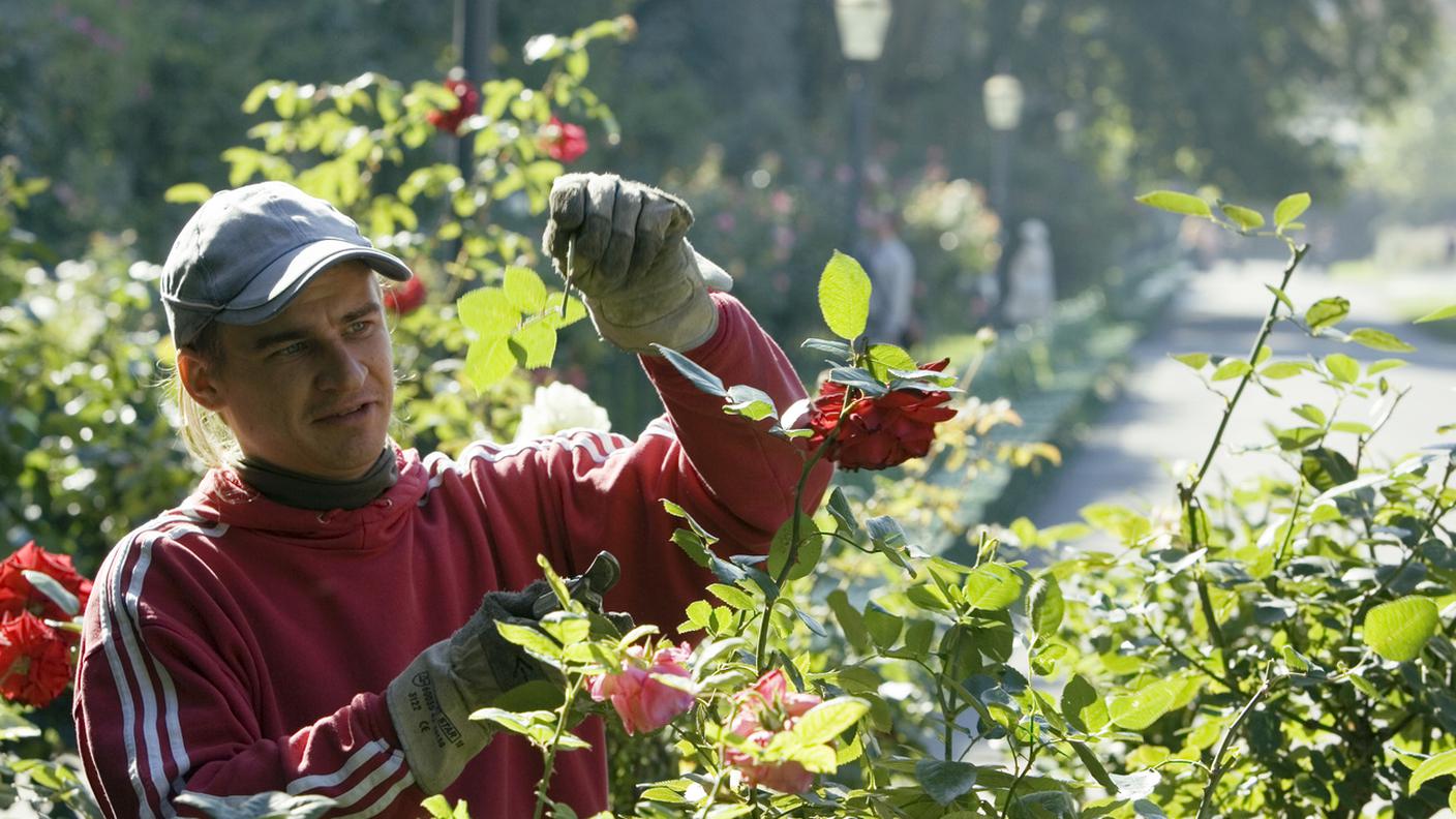 Da lunedì in Ticino ripartono anche i giardineri, ma solo per interventi urgenti