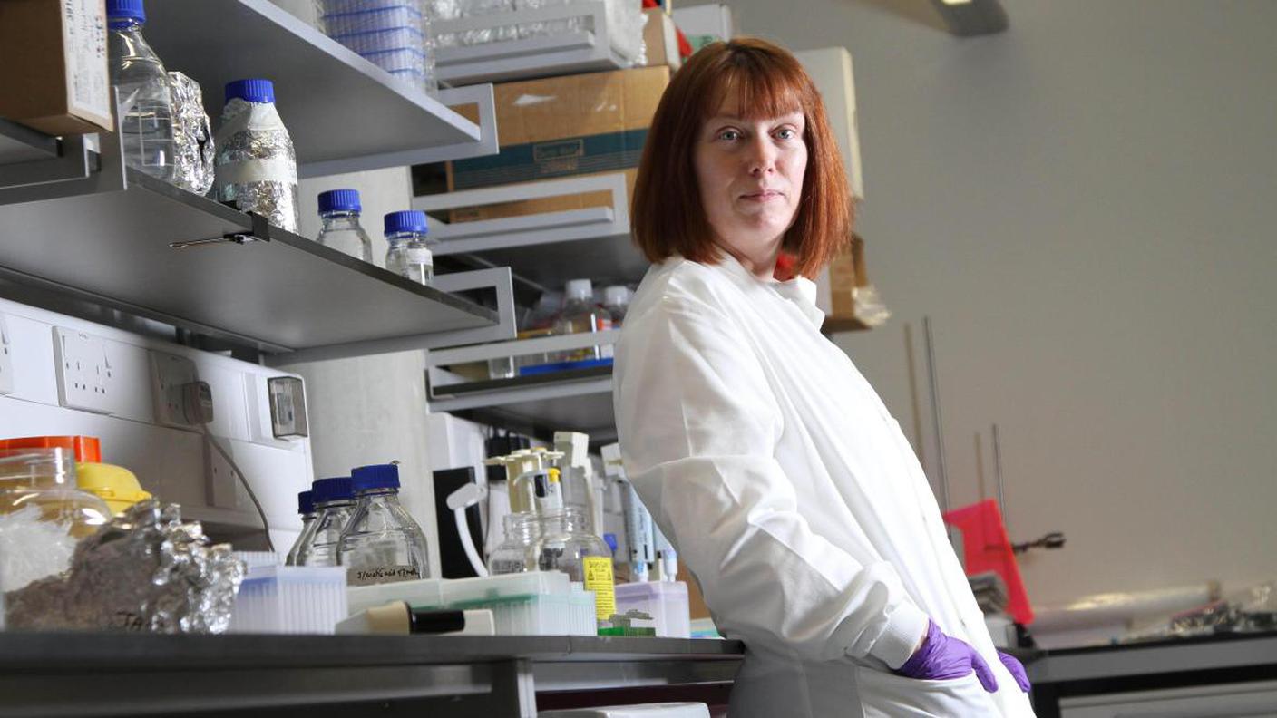 La professoressa Sarah Gilbert nel suo laboratorio allo Jenner Institute di Oxford