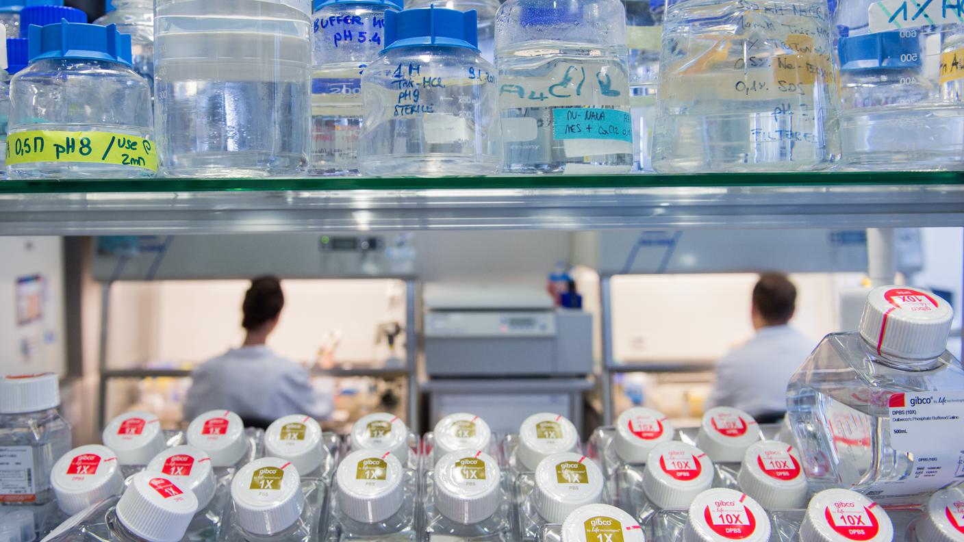 Uno scorcio di un laboratorio dell'IRB
