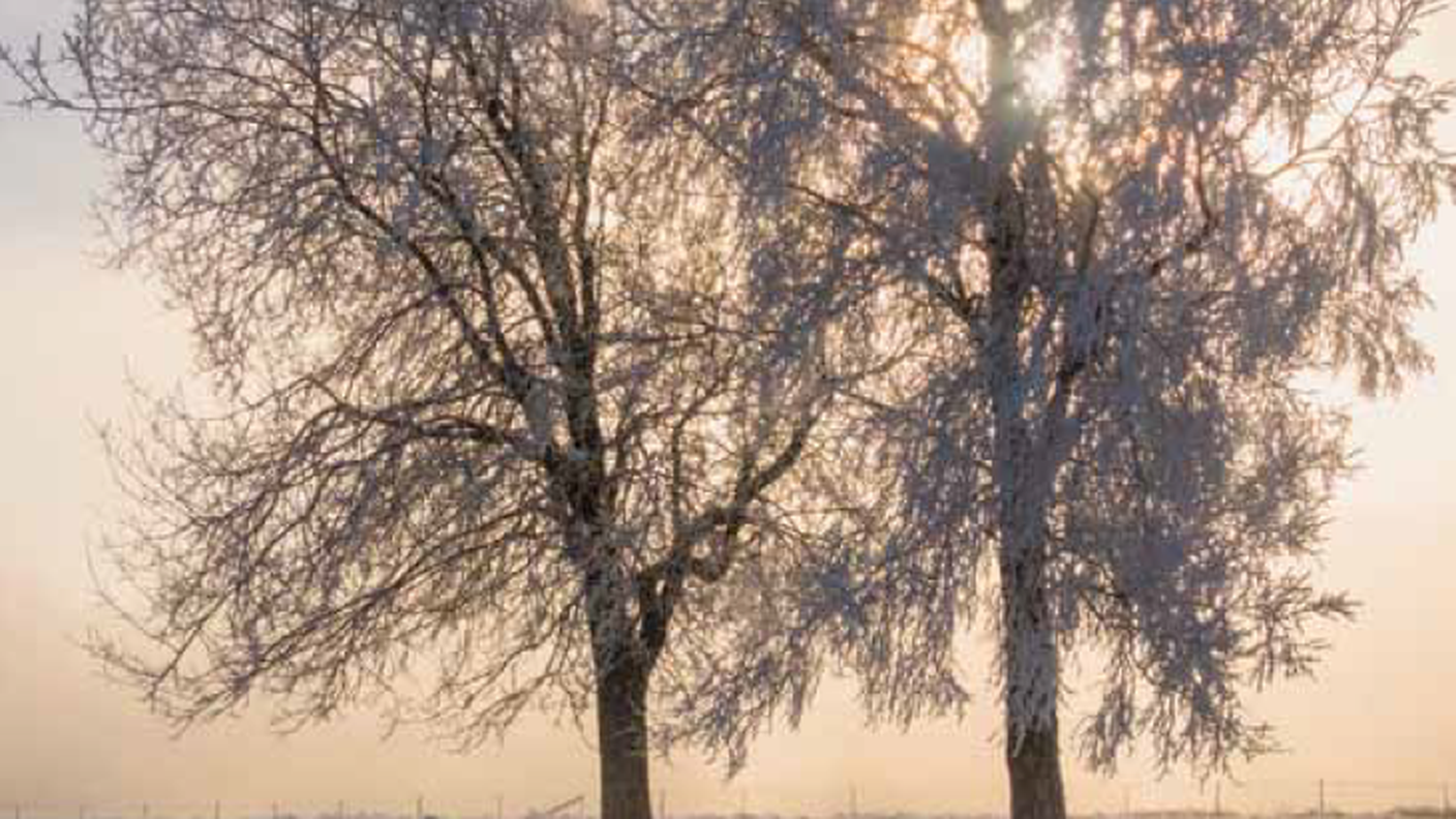 Foto Cult dicembre-gennaio