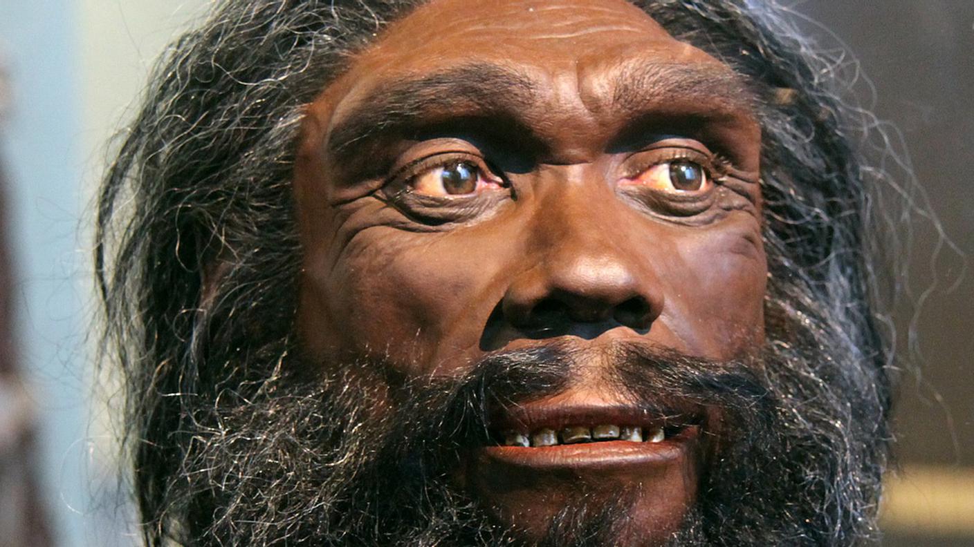 L'Homo Heidelbergensis