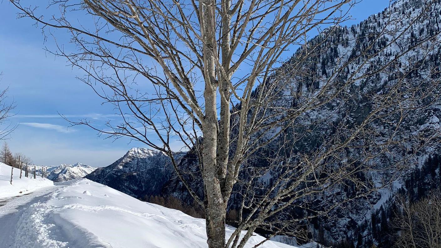La neve nel Locarnese