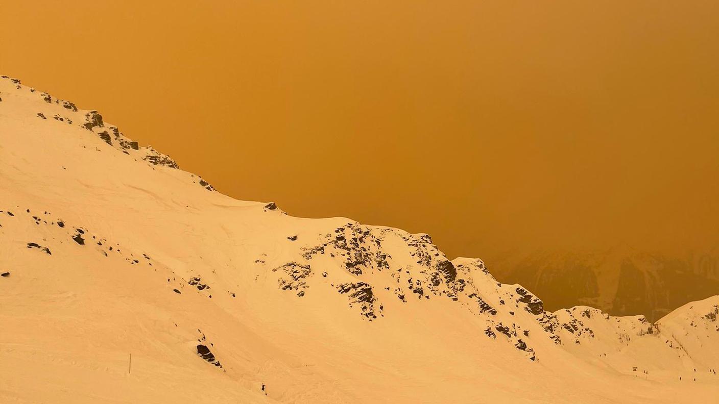 La vie en jaune...