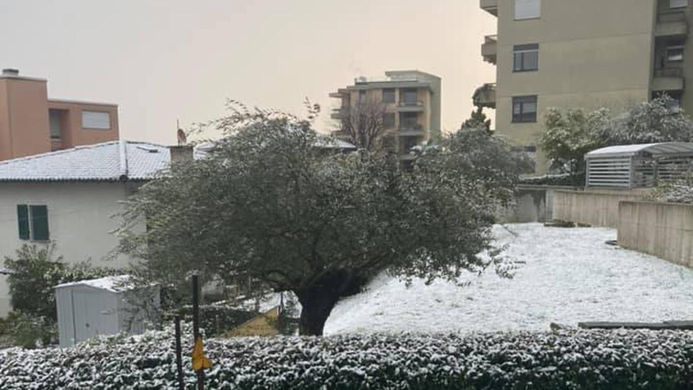 Paradiso stamattina...