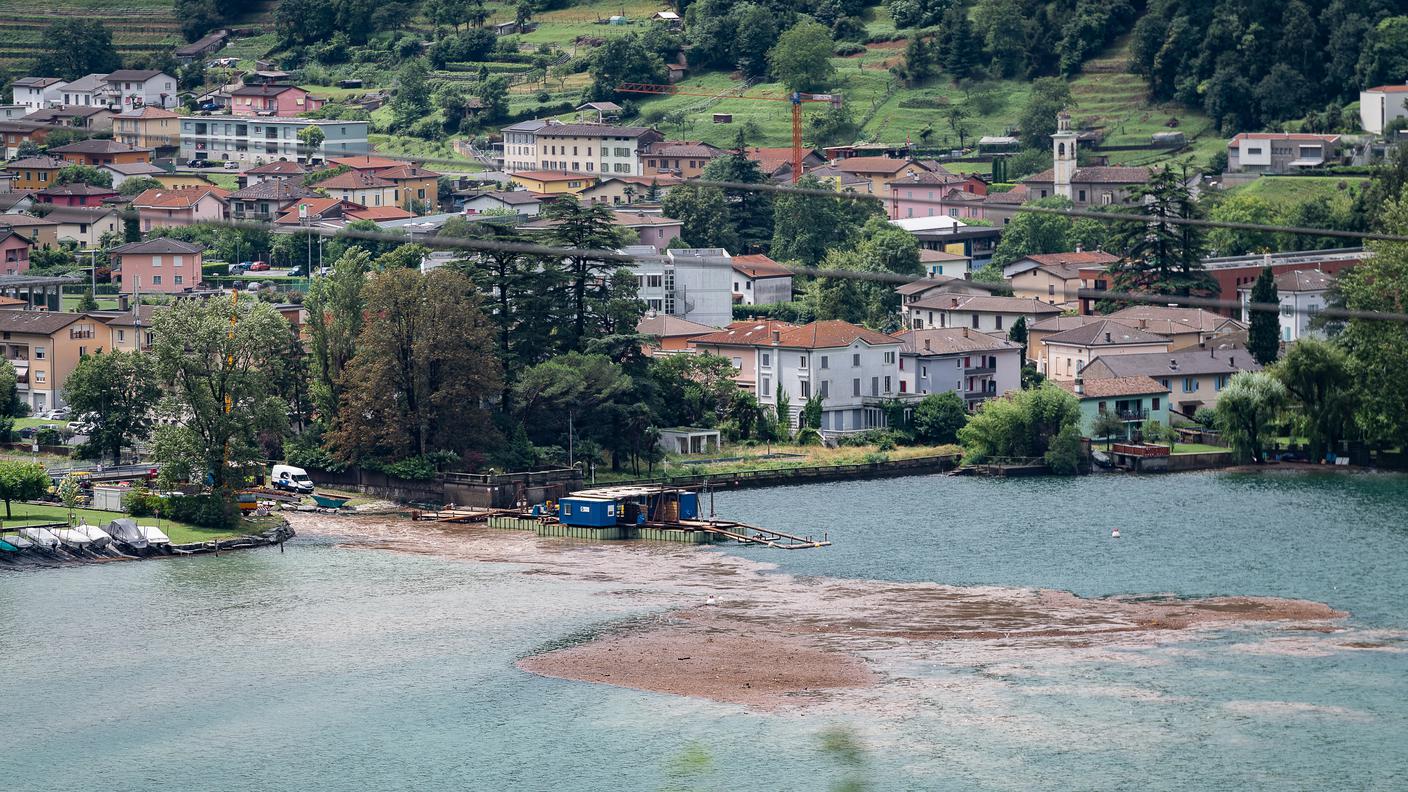 Il Laveggio in piena ha portato un'enorme quantità di materiale fino alla foce a Capolago