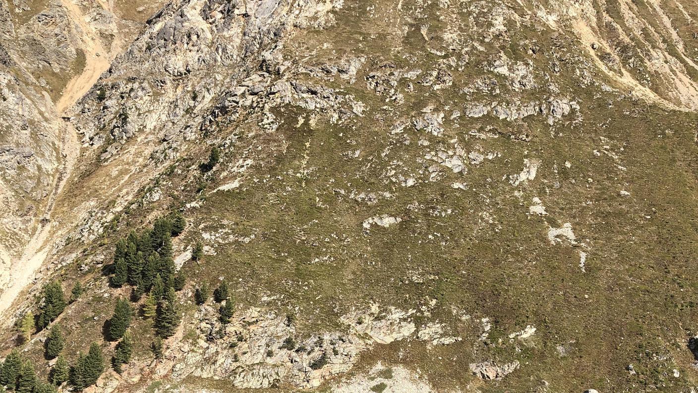 La zona dell'incidente