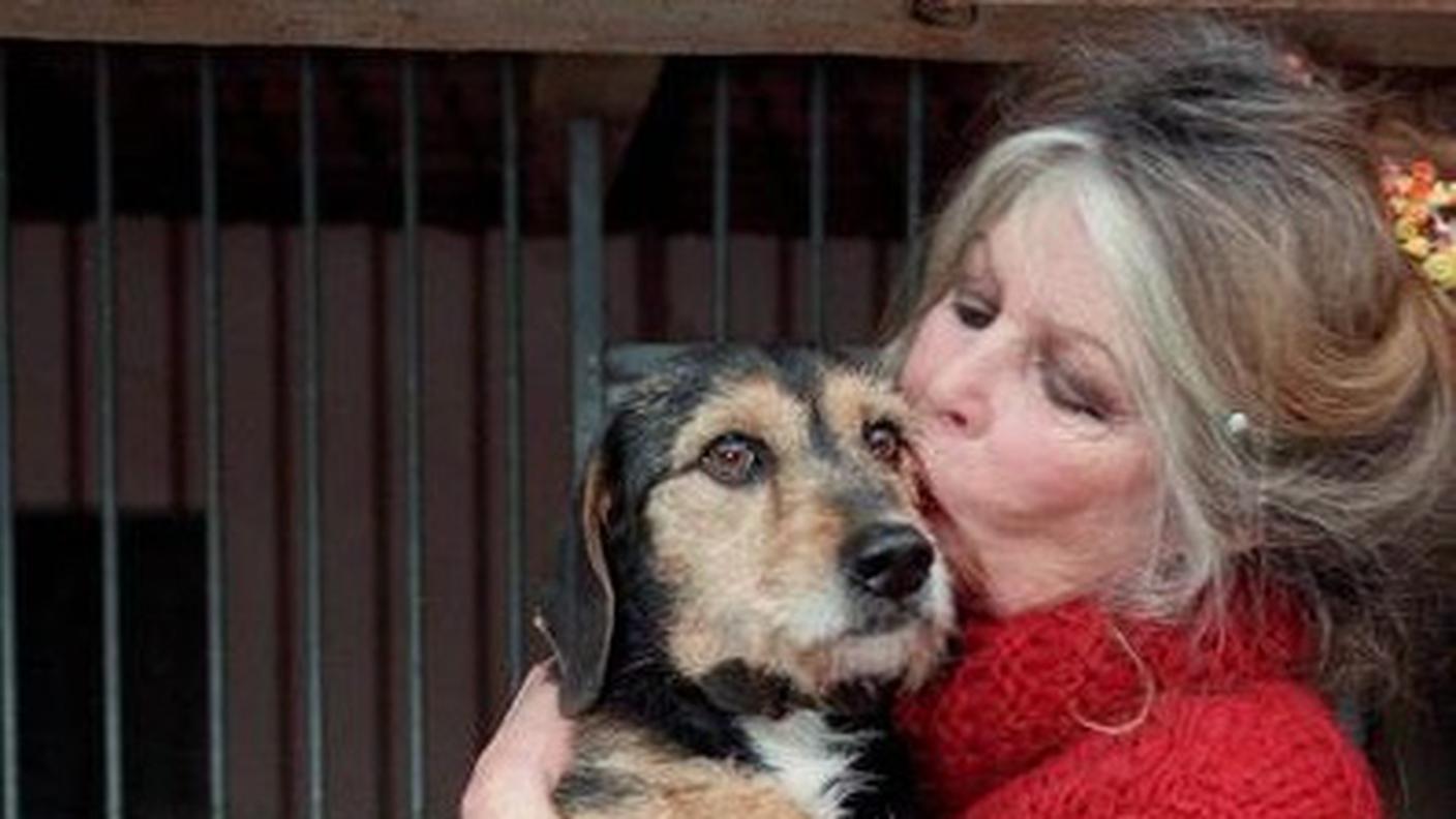 Brigitte Bardot da tempo difende i diritti degli animali