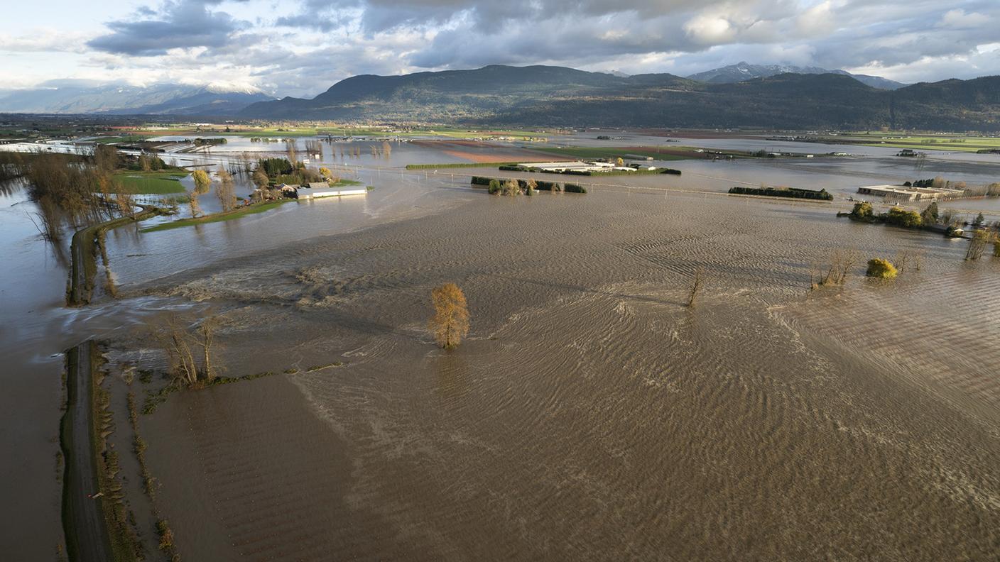 Enormi danni anche per le aziende agricole locali