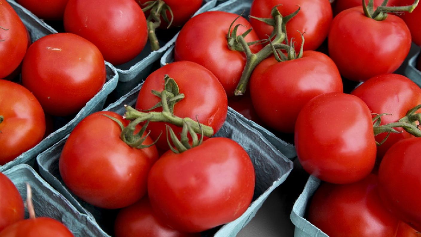 pomodori.jpg