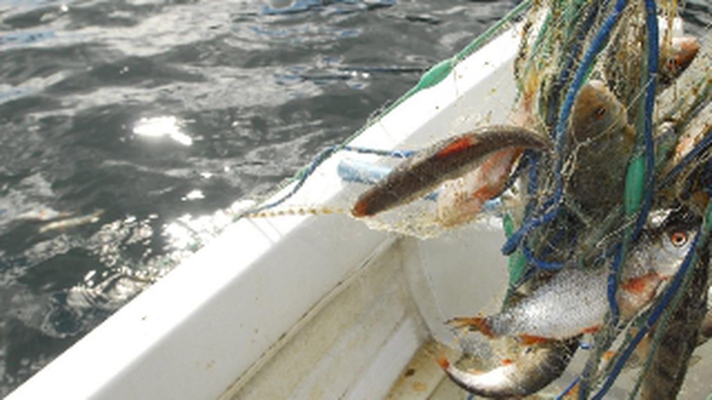 pesca.jpg