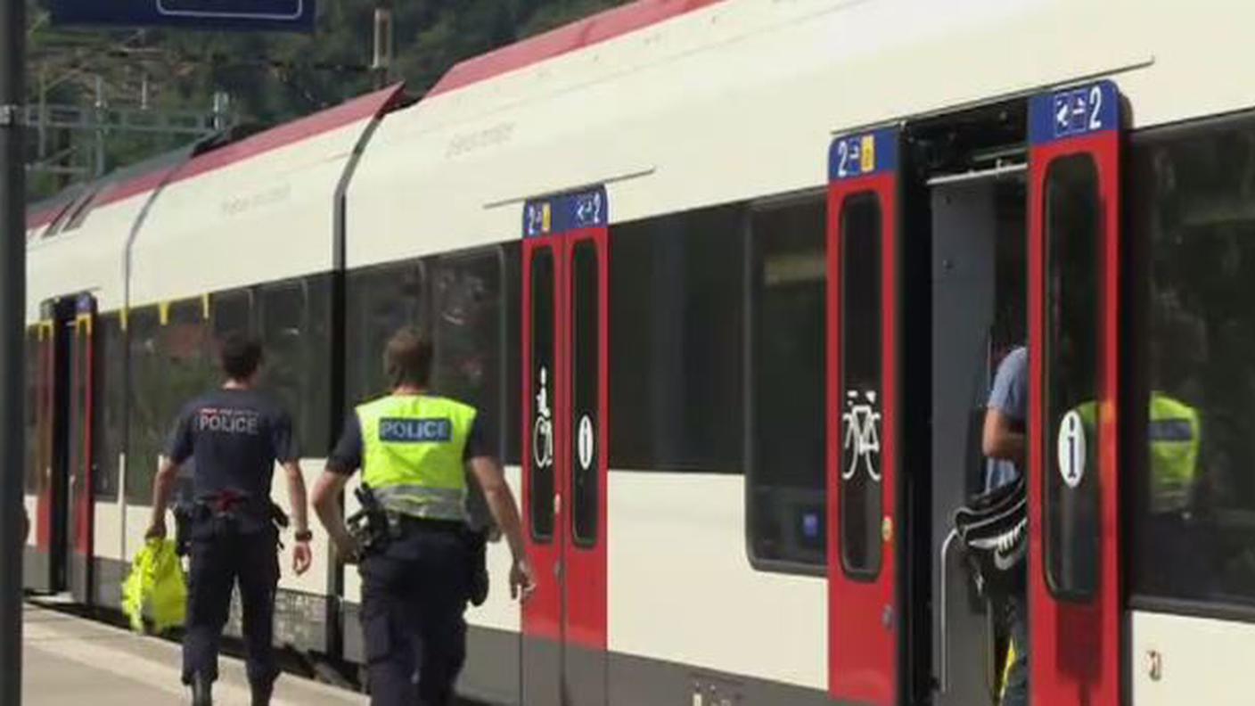 Arresto sul treno.JPG
