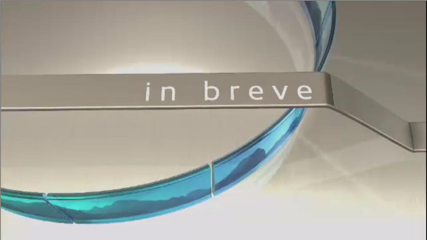 4 brevi.JPG