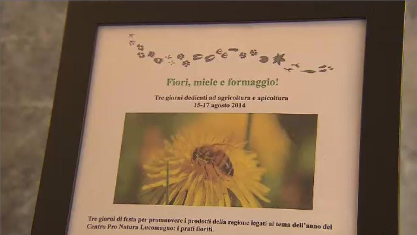 9 pro natura.JPG