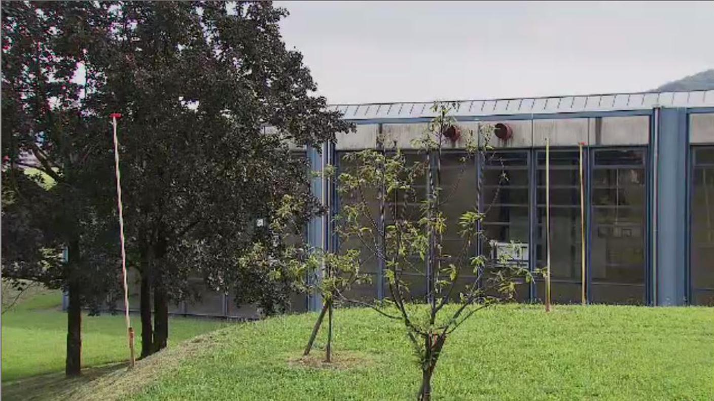 7 liceo.JPG