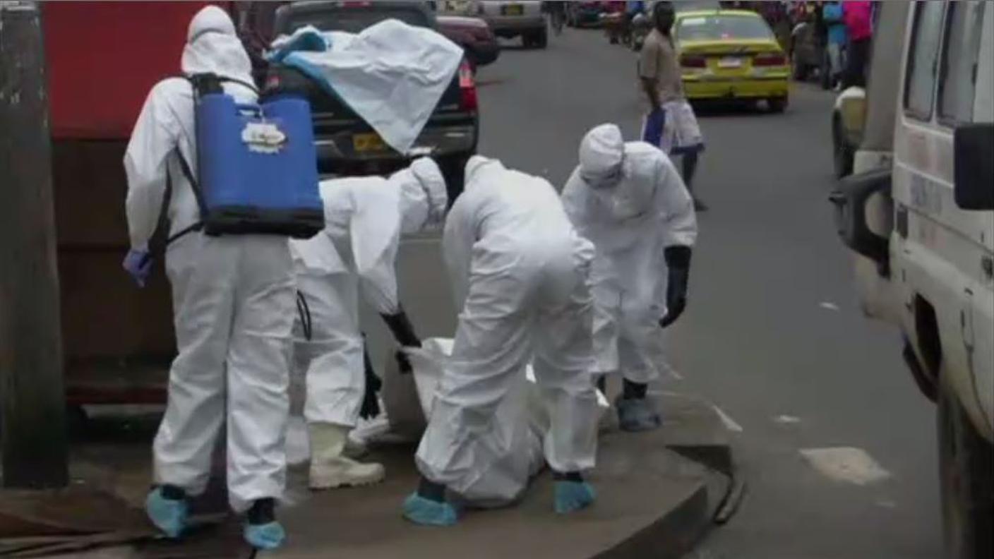 ebola 2008.JPG