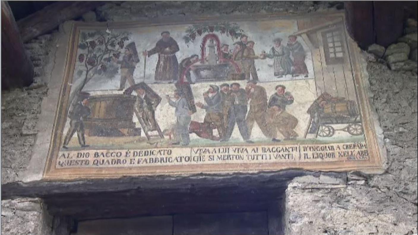 5 vini.JPG