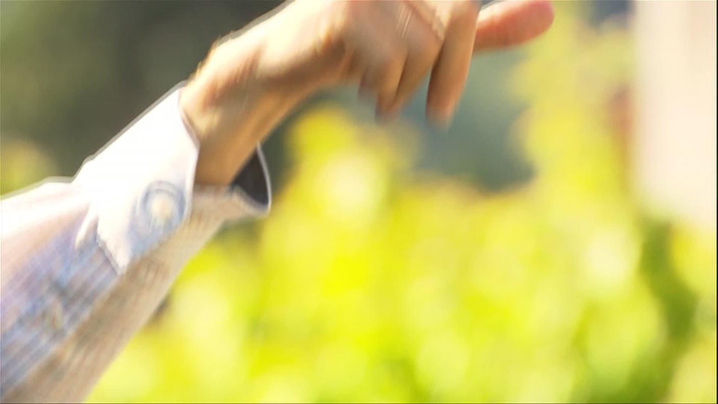 mano.jpg