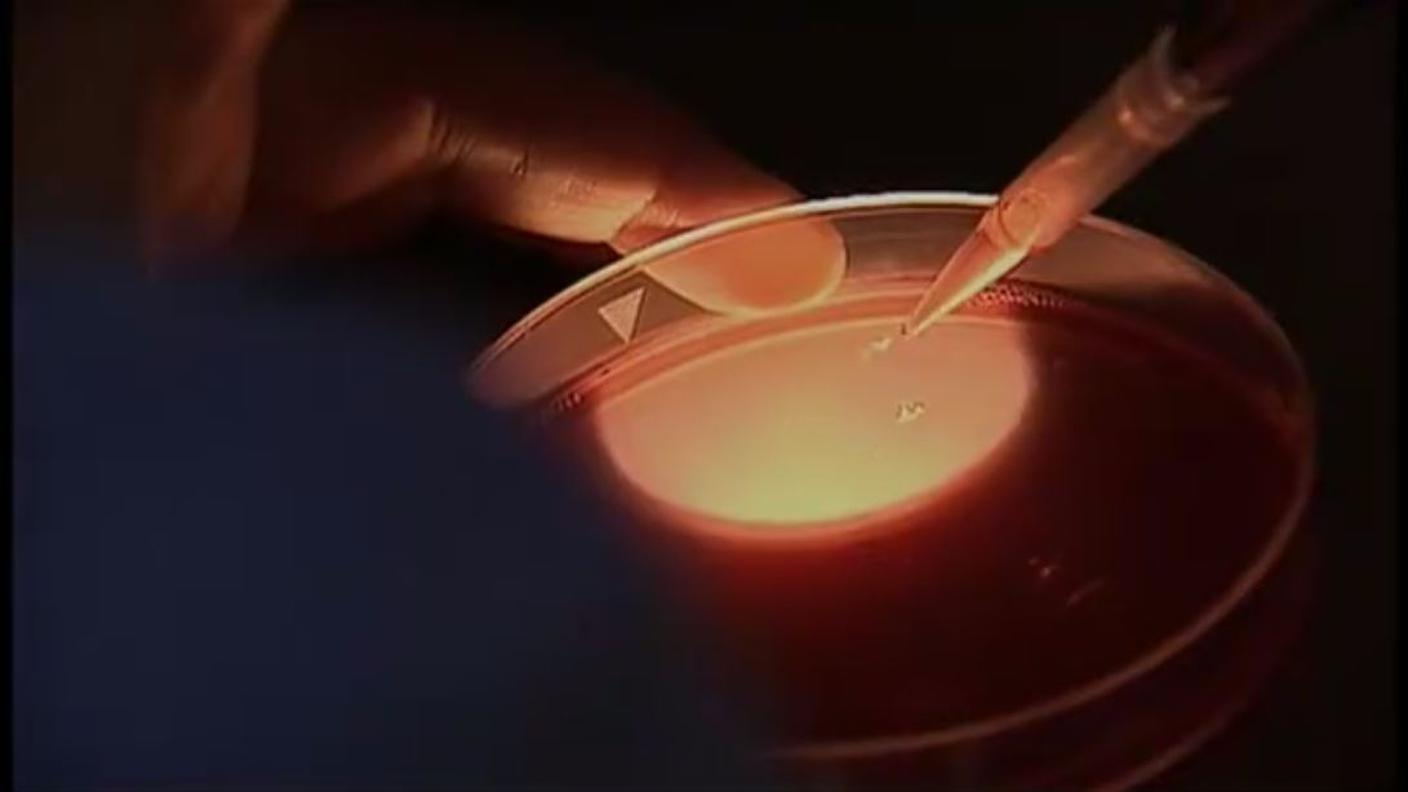 aborto.JPG