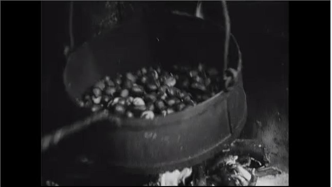 castagne.JPG