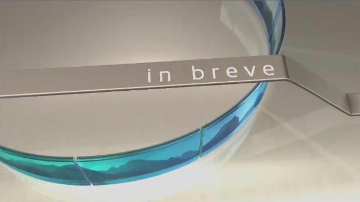 brevi.JPG
