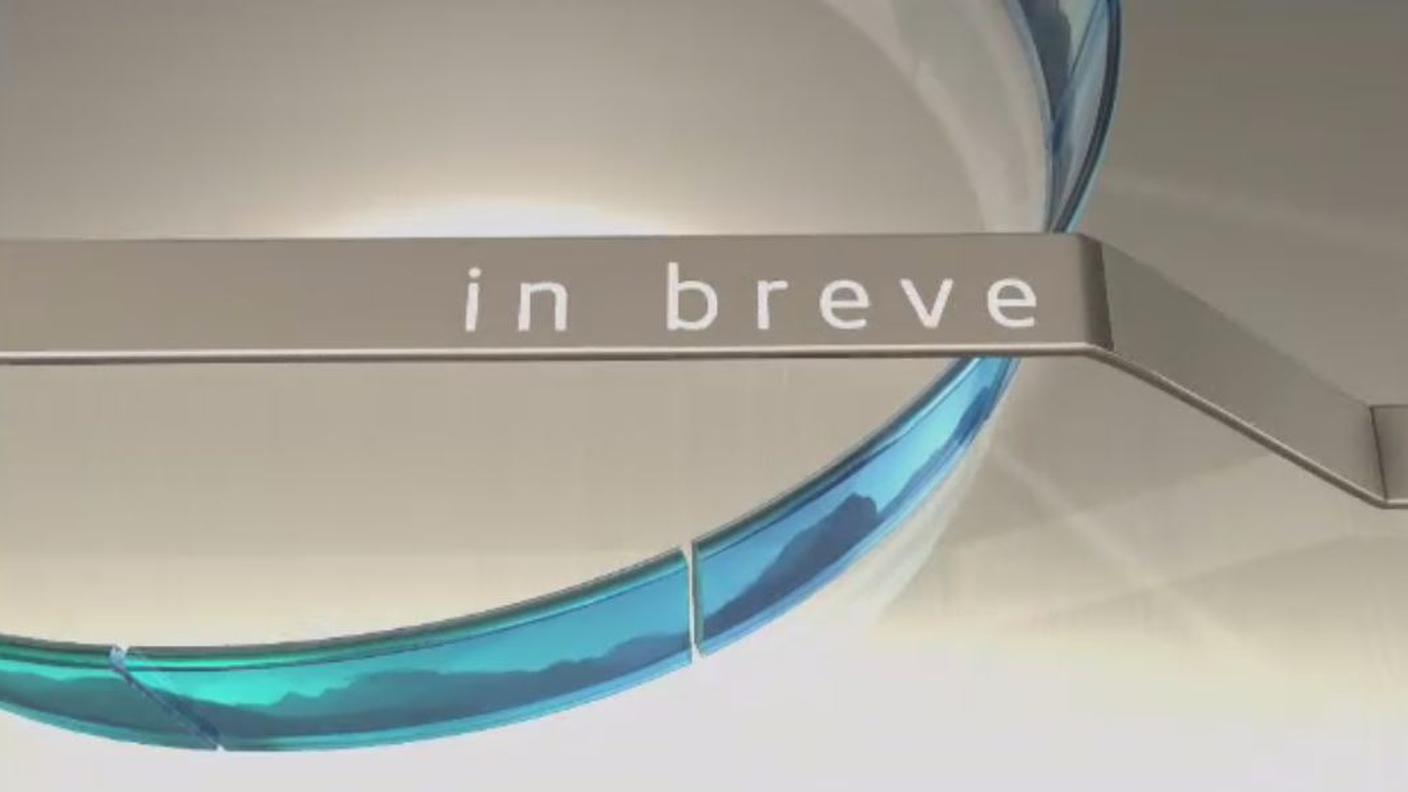 brevi quotidiano.JPG