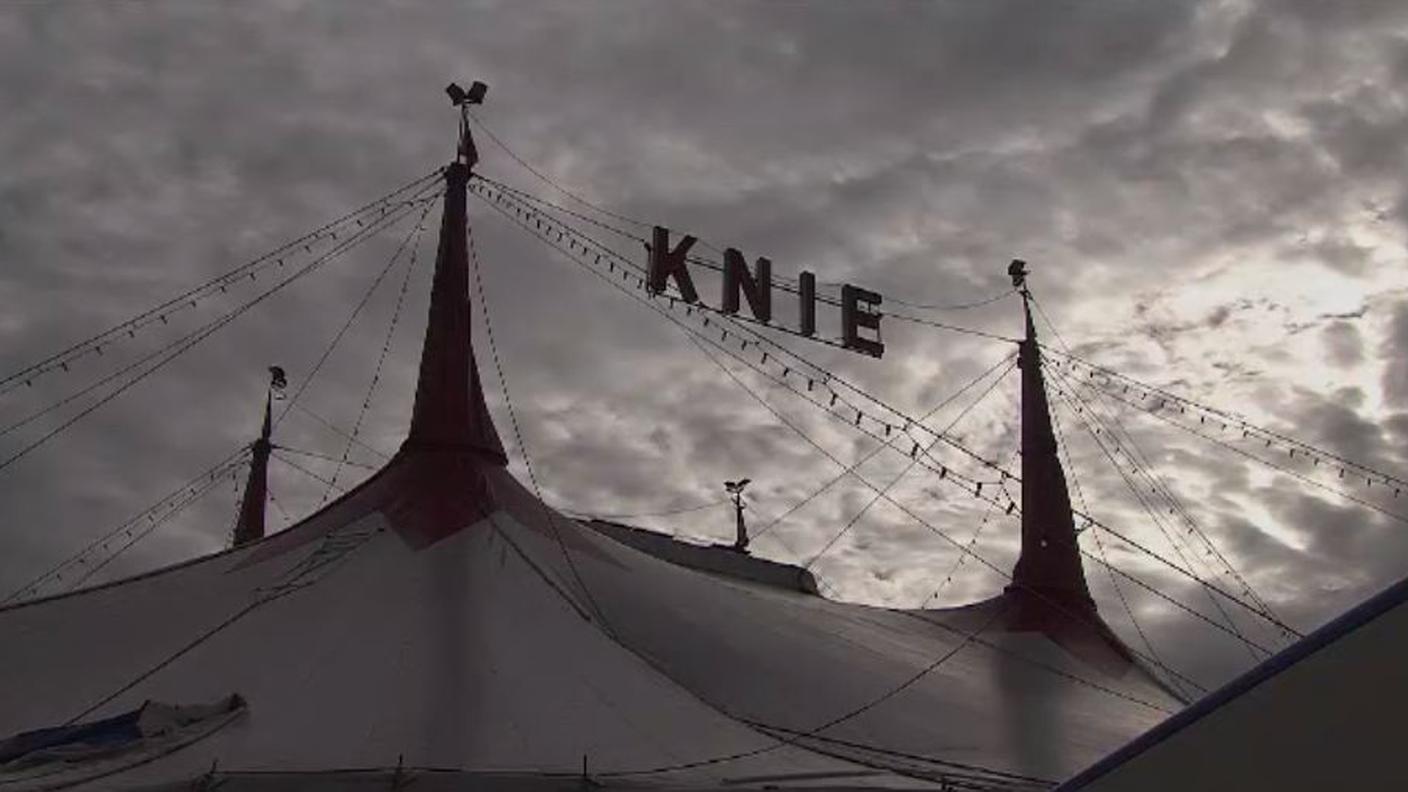 knie.JPG