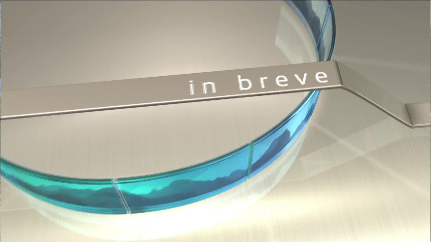 Brevi (1).jpg