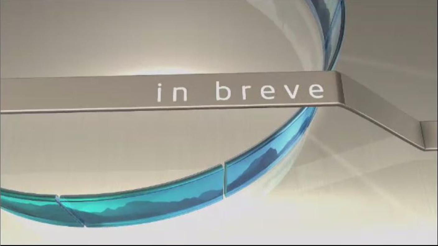 brevi.JPG