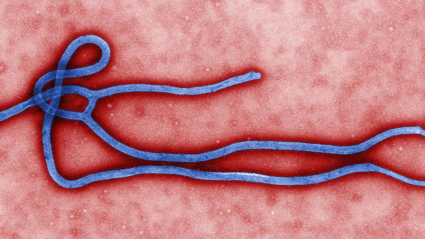 Ebola, il virus mortale.jpg