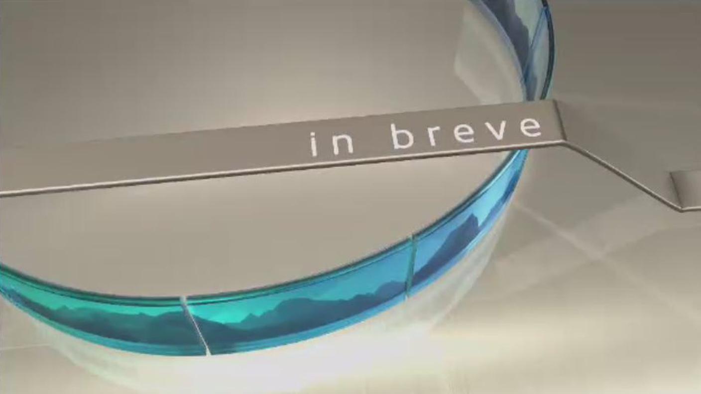 brevi.JPG