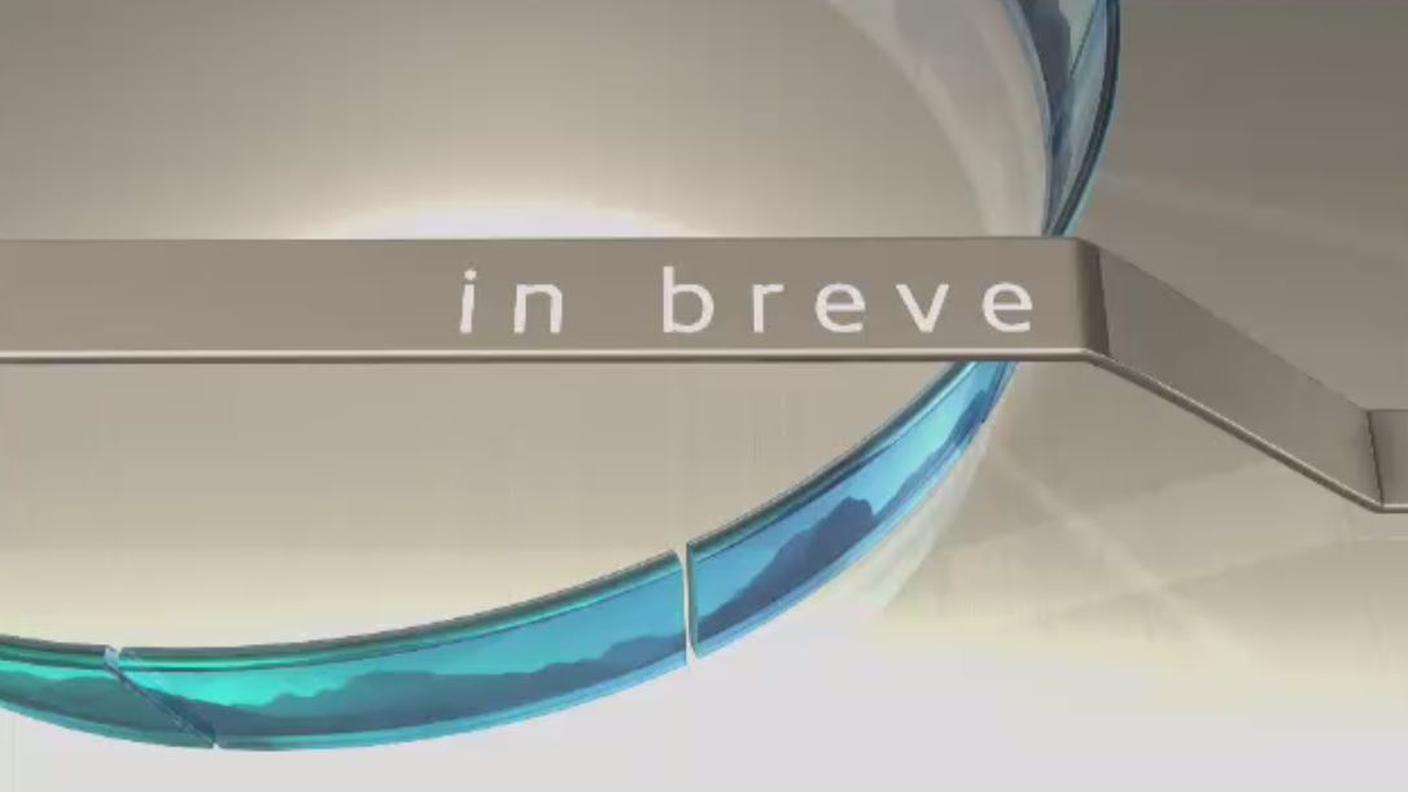 in breve_quot.JPG
